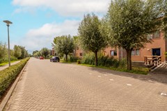 Vrouwenmantel 81  Schoonhoven 004.jpg